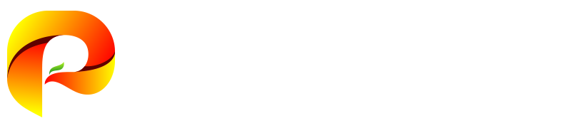 大算应用开发平台